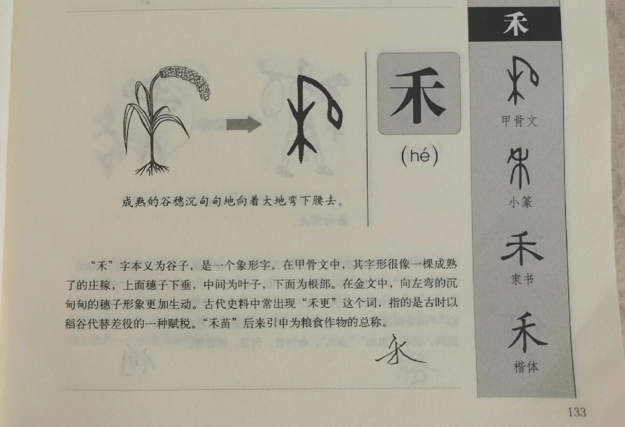 禾的象形文字图片