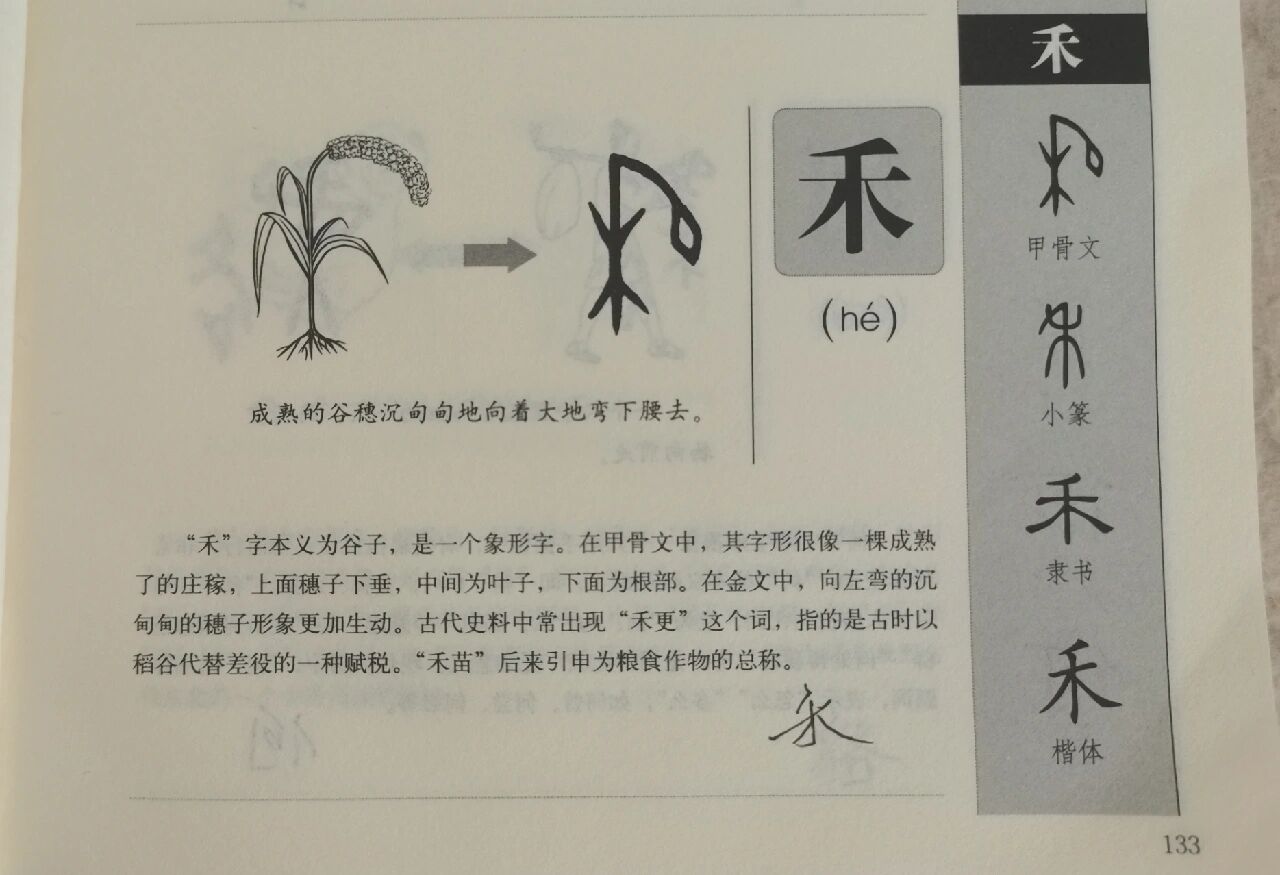 今天学(禾)字