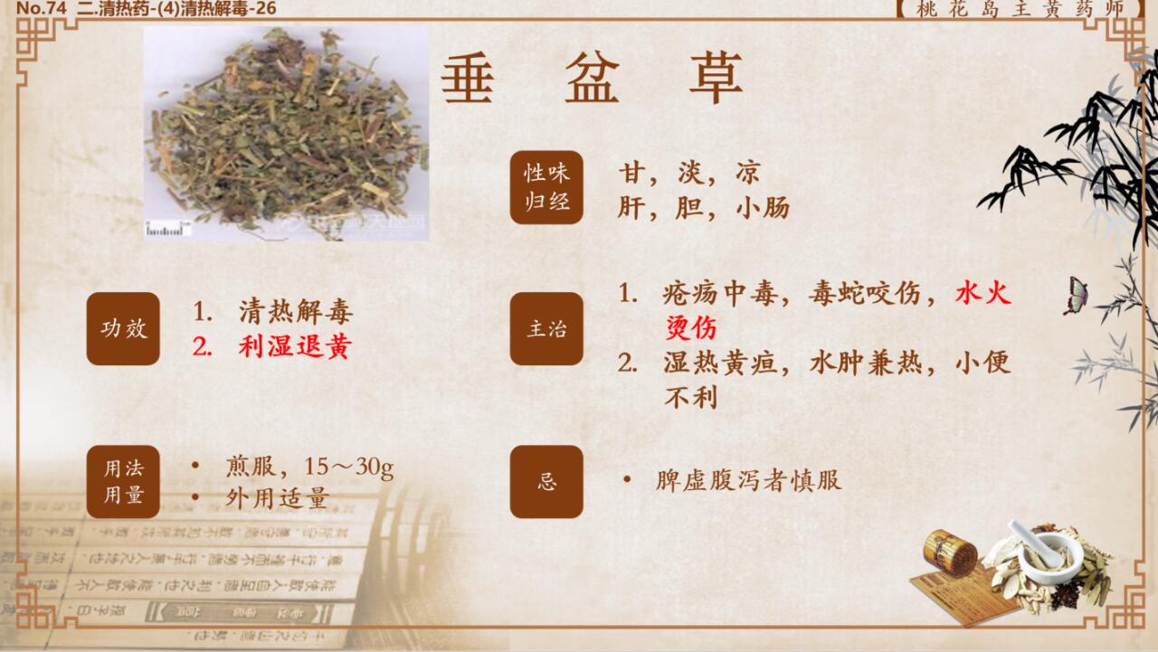 血盆草的功效图片