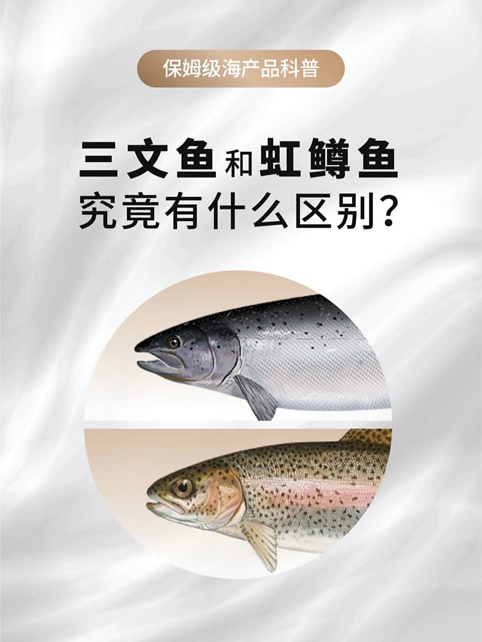 假冒三文鱼6015三文鱼和虹鳟鱼有什么区别71 什么71竟然还有