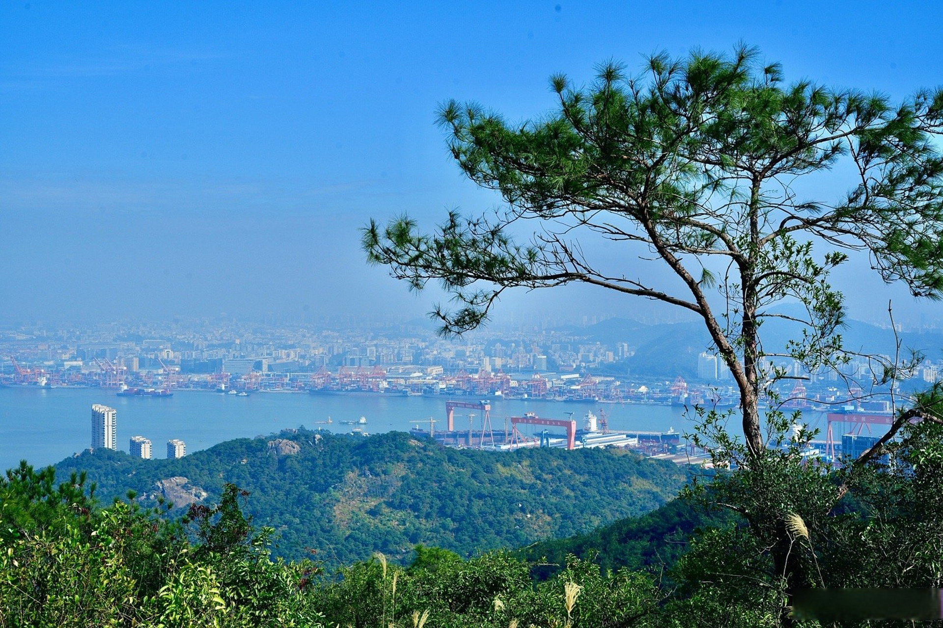 海沧大屏山郊野公园图片