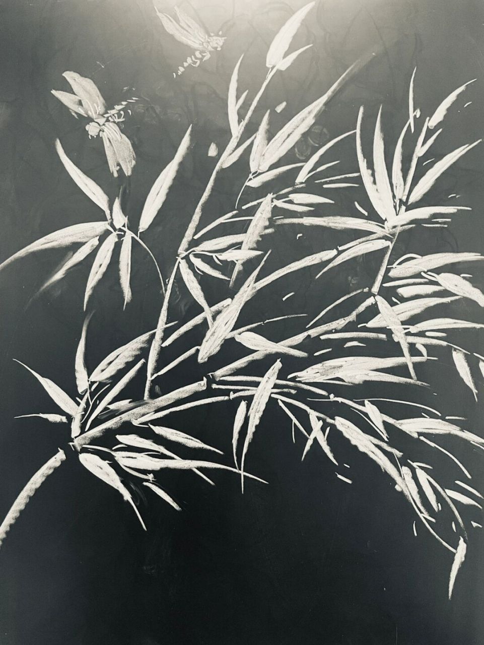 竹子竹子竹子[坏笑][坏笑][坏笑][坏笑][坏笑]#黑板报# ##黑板报素材