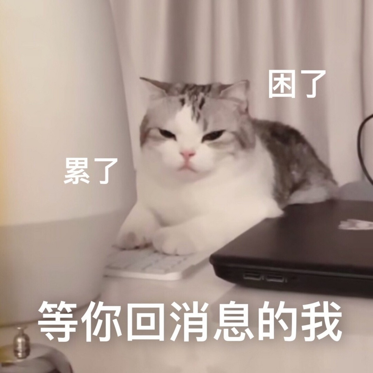 困了还在等你回消息的我,可爱表情包 分享可爱表情包 赶紧get起来