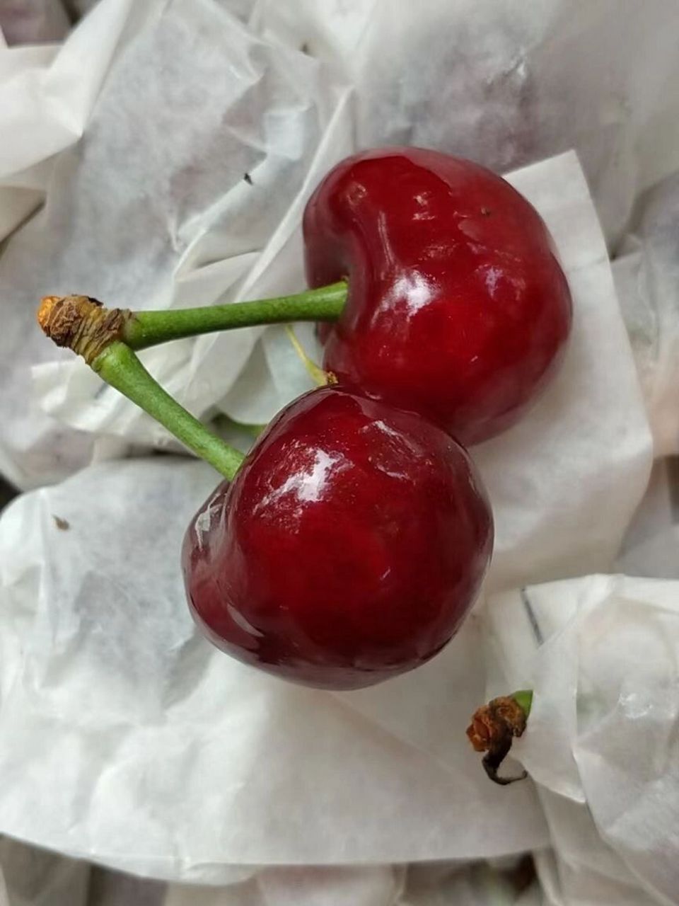 山东大樱桃和车厘子有啥区别 我怎么感觉味道区别不大呢 夏天的樱桃