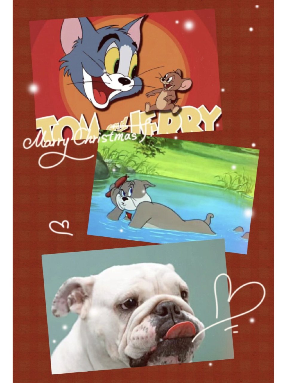 《猫和老鼠》——斯派克 斯派克的原型是英国斗牛犬,英国斗牛犬是一种