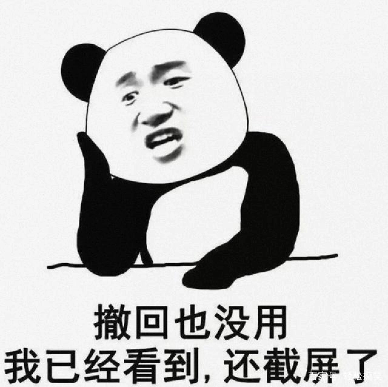 怼人表情包(第六弹)18张