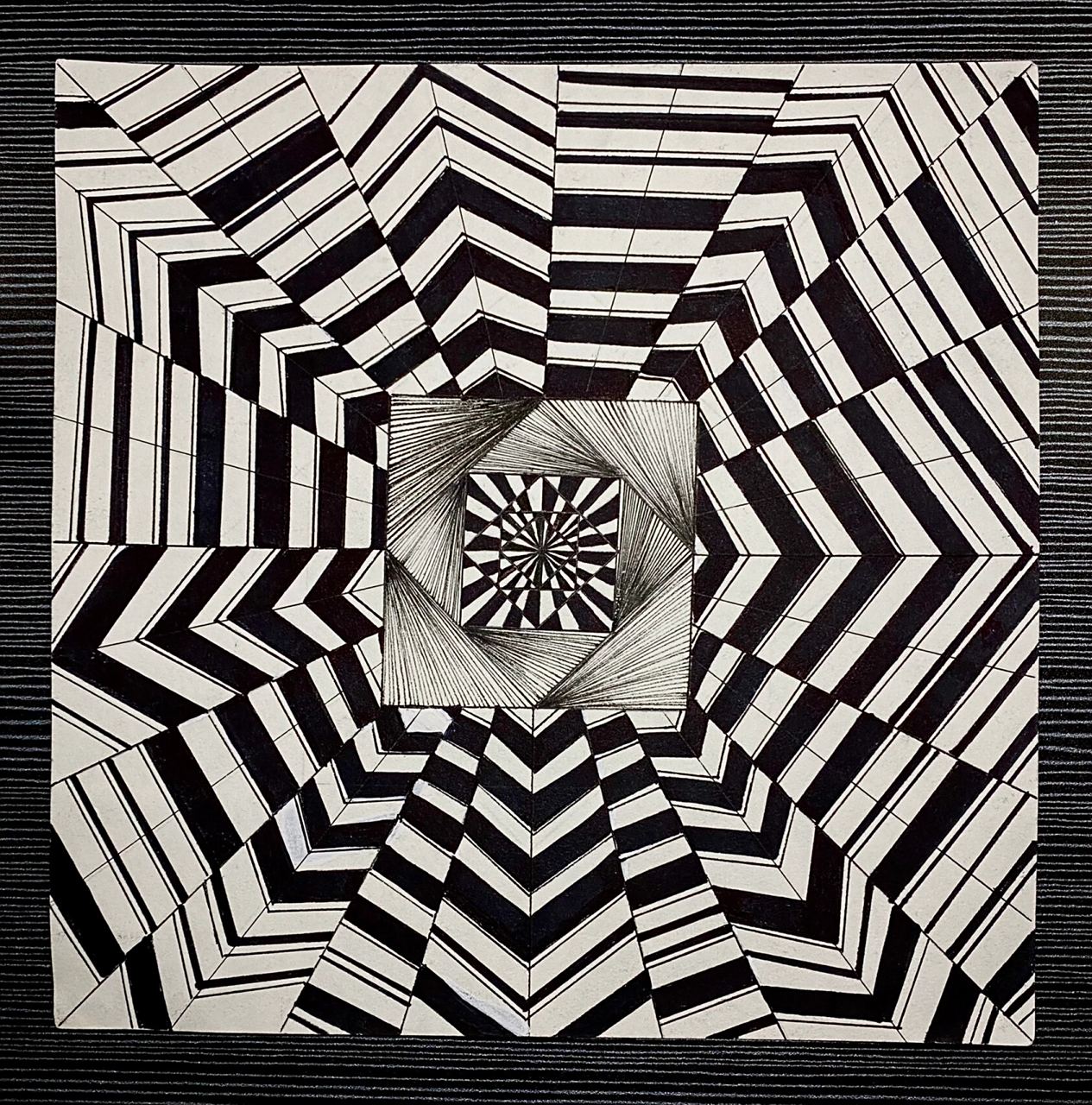 渐变构成——发射构成 表现形式:骨格的渐变,发射特征明确;刻画仔细