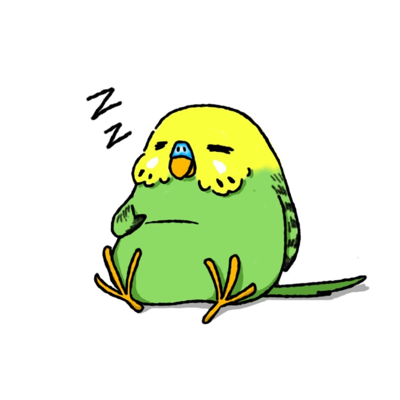 原创萌宠头像|肥肥鸟00大肚腩虎皮鹦鹉 肚腩改编自毛茸茸胸脯 虎皮