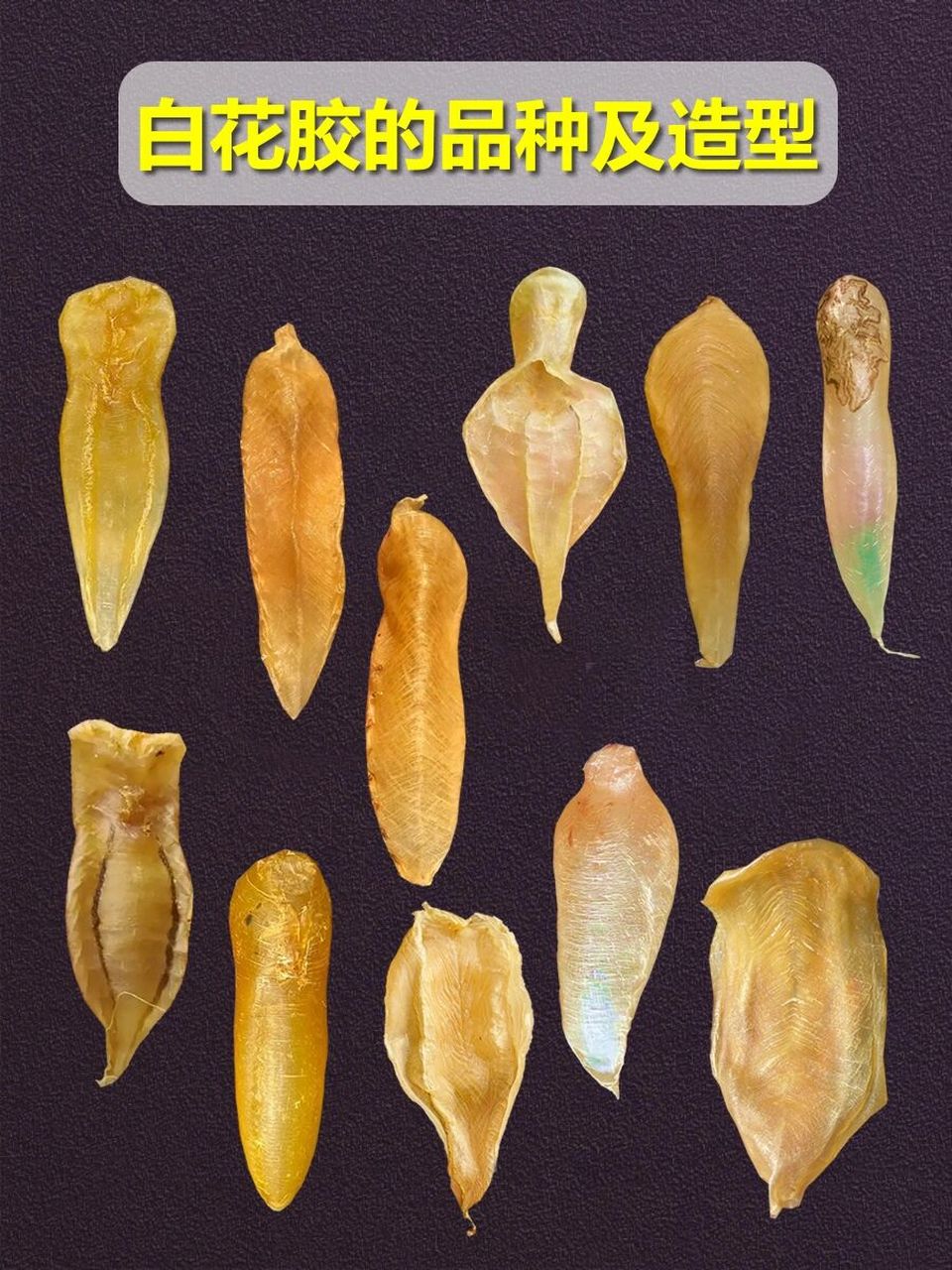 白花胶种类##白花胶图片##白花胶##鱼胶