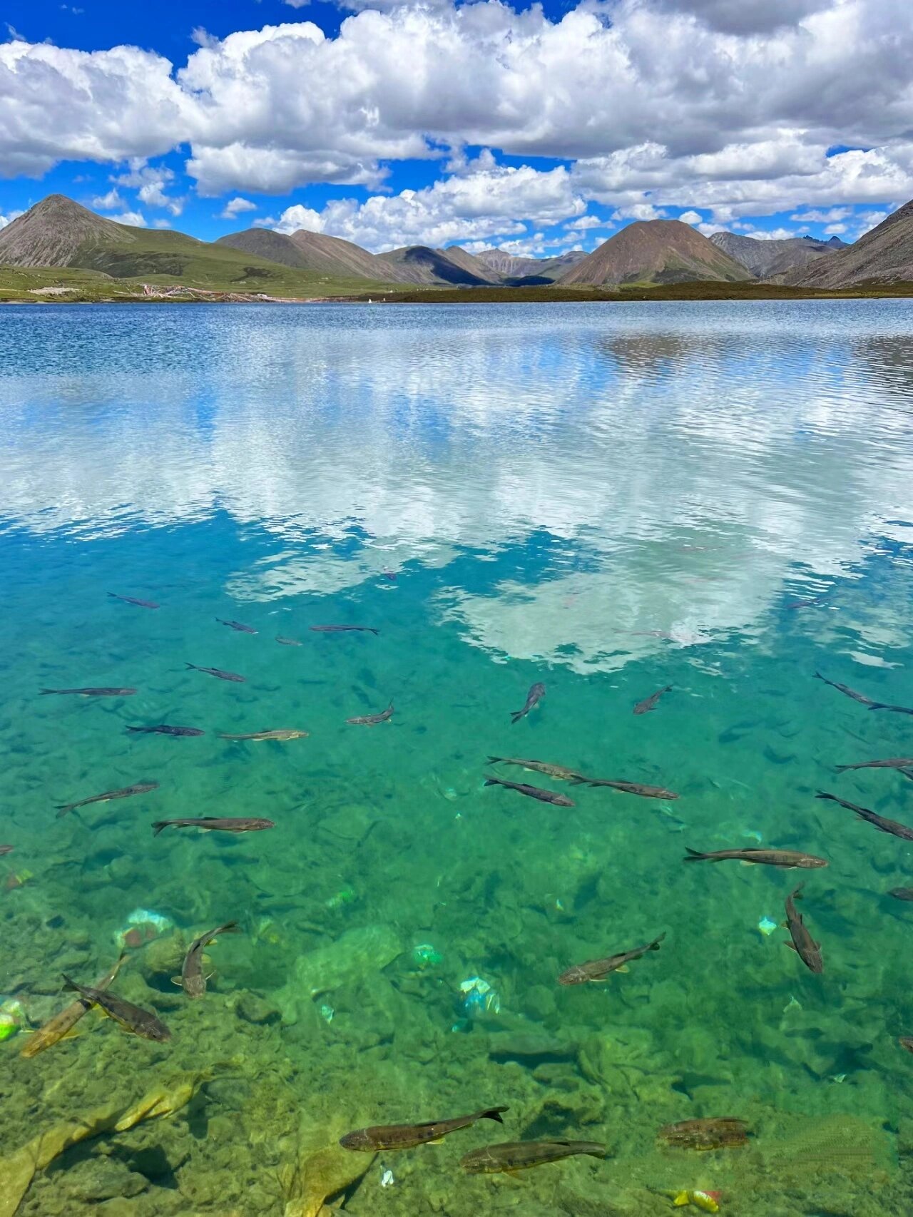 西藏最灵财神湖——思金拉措