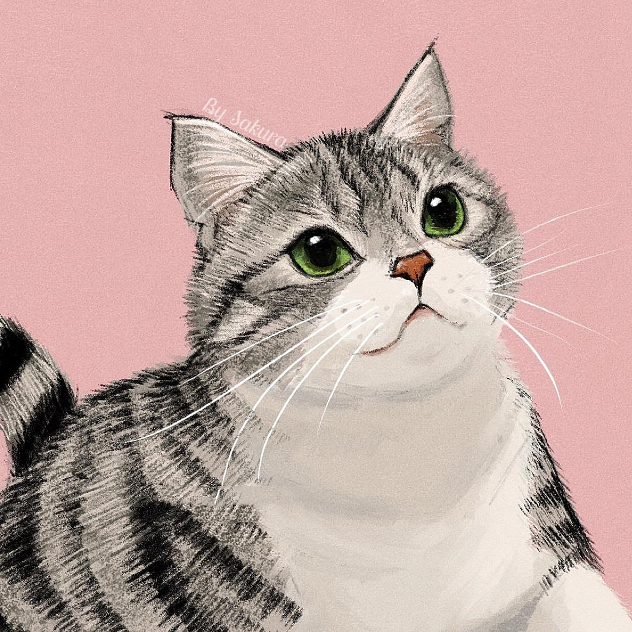 procreate手绘小猫咪(有过程图)小白友好 今天画一个甜美系的美短猫咪