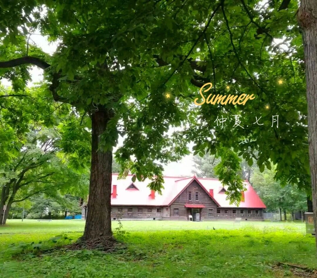 打卡日本最美校园——北海道大学札幌校区