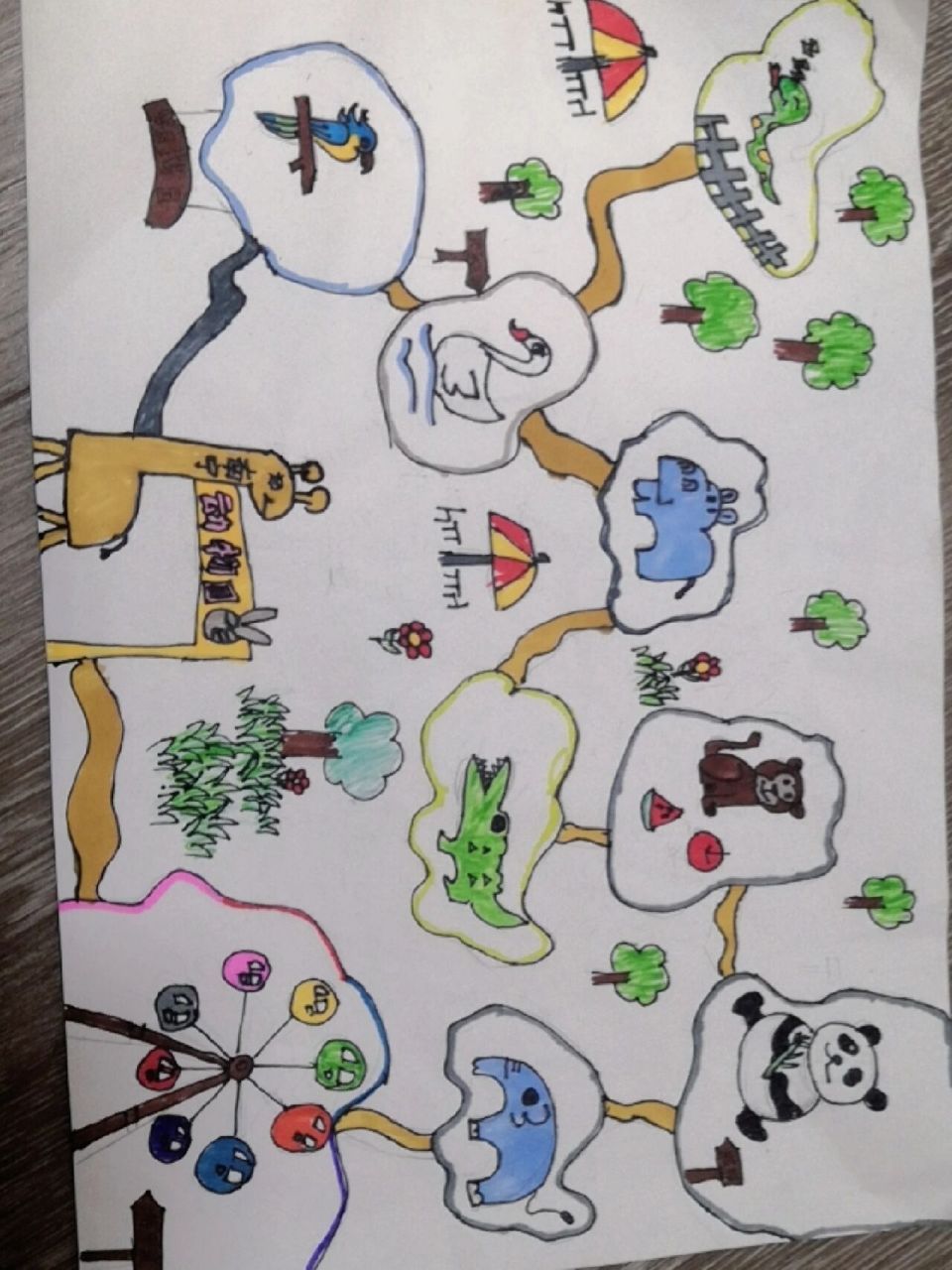 动物园路线图手抄报 小家伙画了一天终于画好了