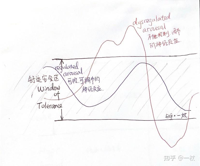 了解神经反应的安全舒适区windowoftolerance