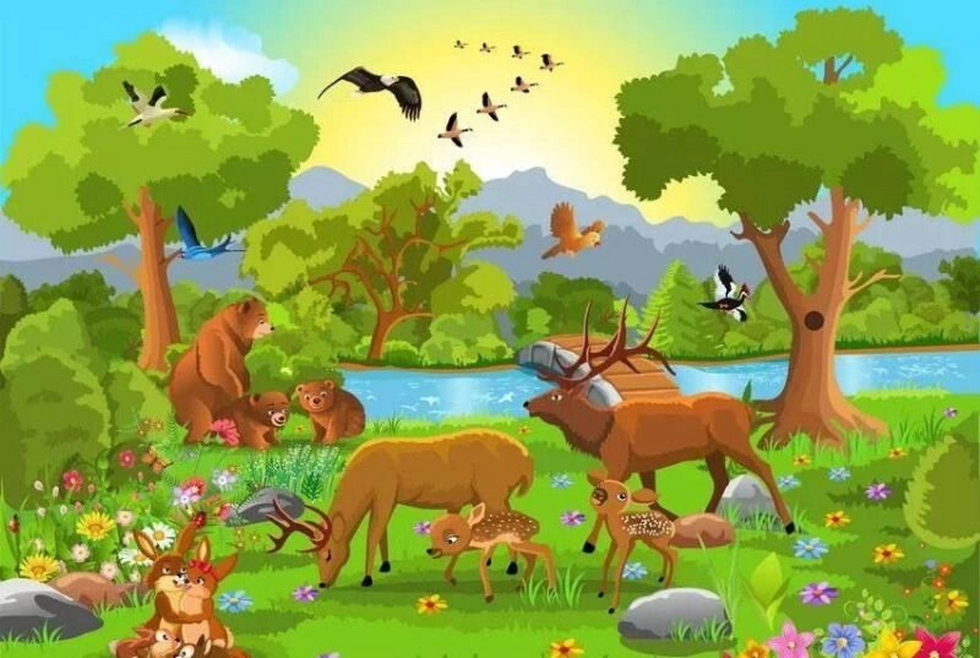 看图写话 美丽的大森林 美丽的大森林里有各种各样的植物和动物,一片