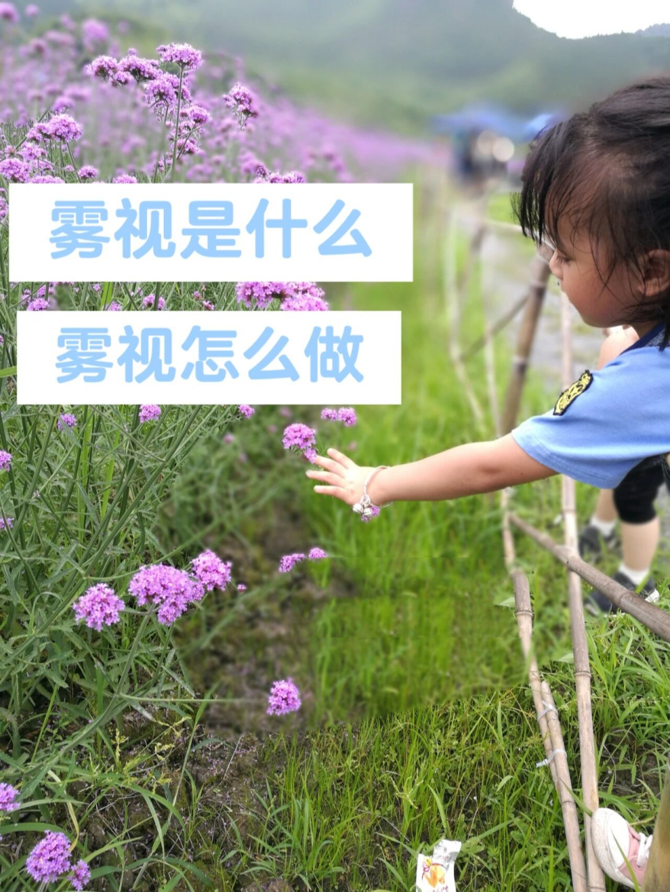 教你做雾视训练:赶跑视疲劳,冻住眼轴 97恒河猴凸透镜实验97(可怜