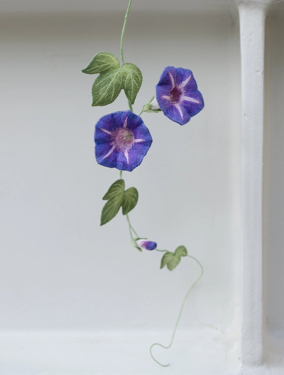立体刺绣 牵牛花 朝颜 绿蔓如藤不用栽 淡青花绕竹篱开 	 很早前就想