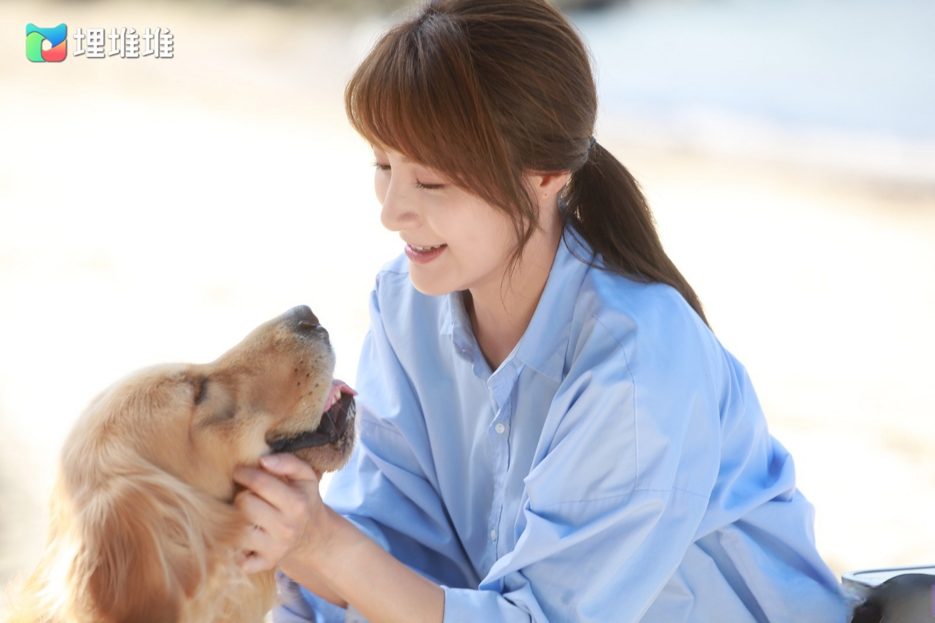 tvb新剧宠爱petpet开播##林夏薇新剧搭档是狗狗# 愛之深責之切,嚴格