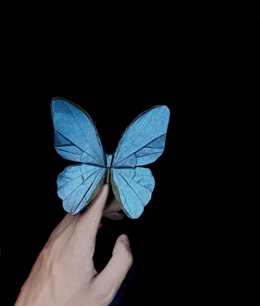 折纸大蓝闪蝶 月光凤蝶 大蓝闪蝶 最近折的一只白凤蝶 蓝闪蝶在凤蝶