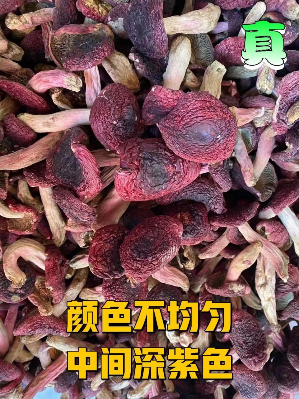 如何辨别真假红菇?记得收藏!