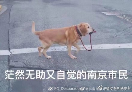 南京今天新增疫情(南京今天新增疫情最新消息)