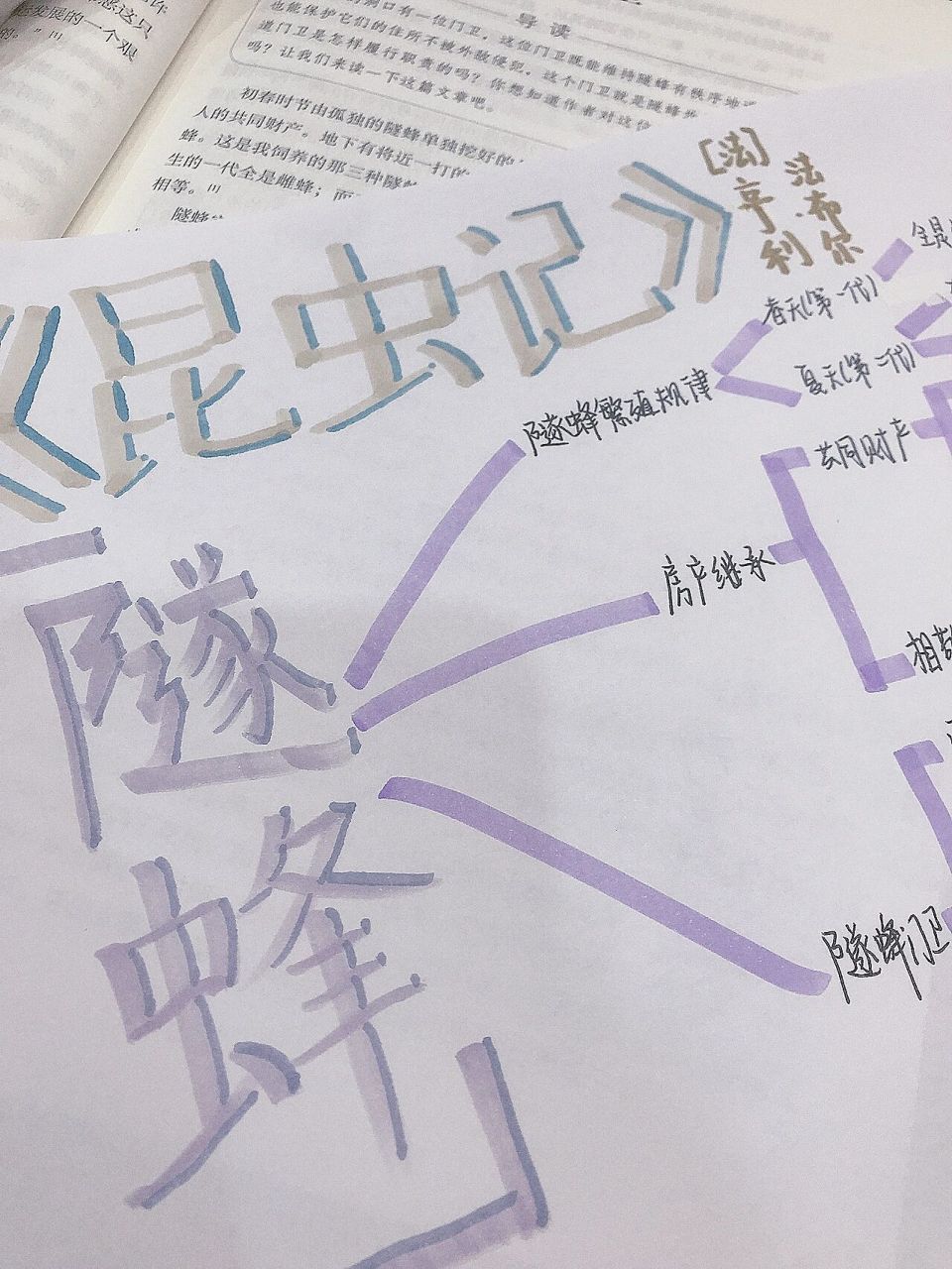 《昆虫记》隧蜂 思维导图