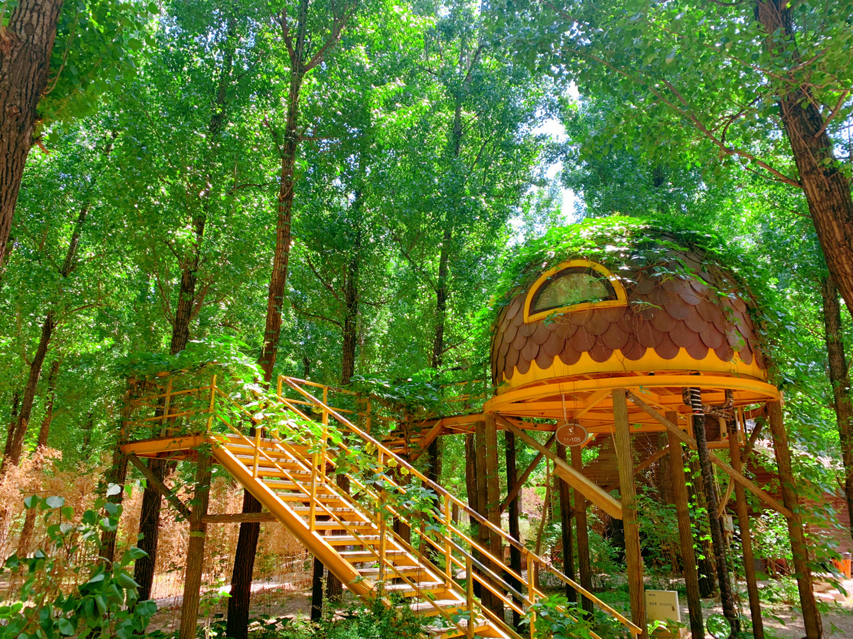 京津周边亲子游:廊坊永清林栖谷 非常美,就是树屋很难定. 两大一小69.