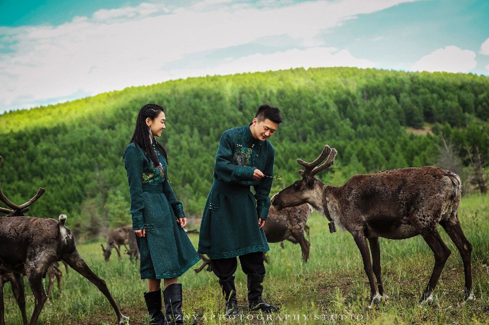 圣诞老人的坐骑 敖鲁古雅驯鹿 中国唯一一个饲养驯鹿的地方 呼伦贝尔