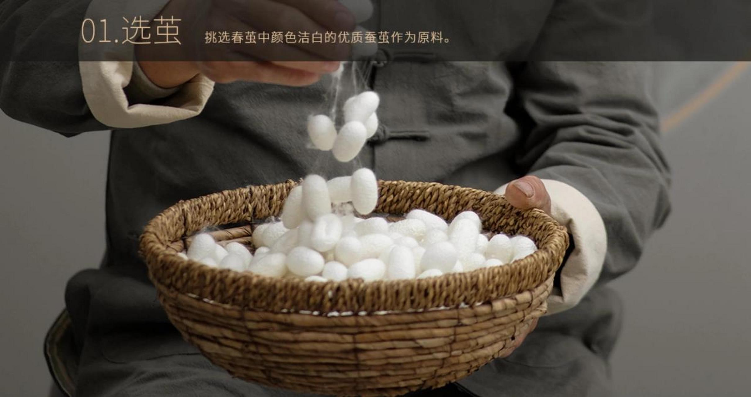 纯手工蚕丝被制作工艺(一)原料工艺 91蚕宝宝要经历哪些步骤才能