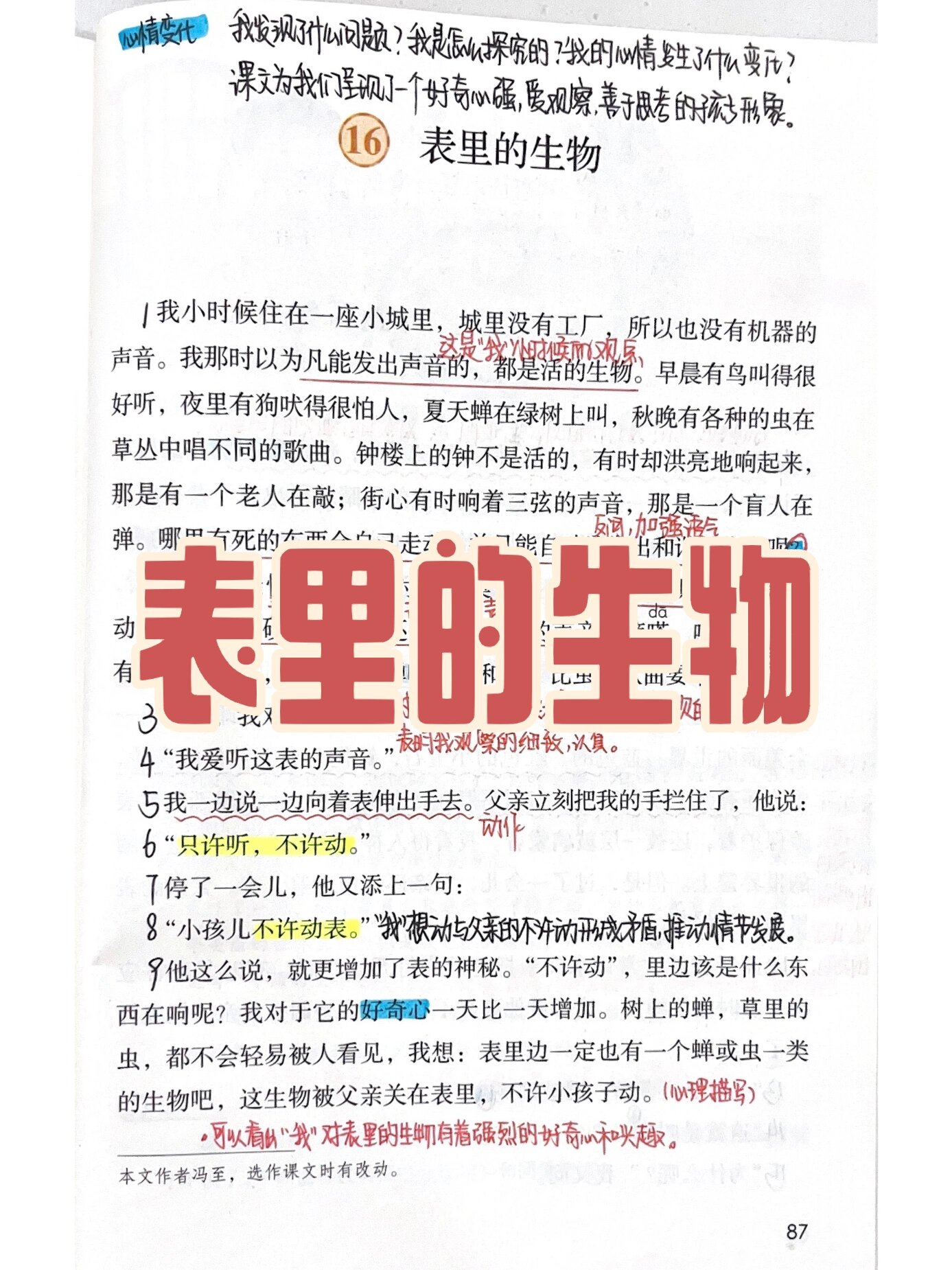 六下语文之《表里的生物》