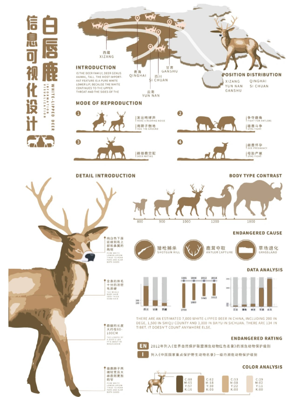 给大家分享一组濒危动物可视化设计海报
