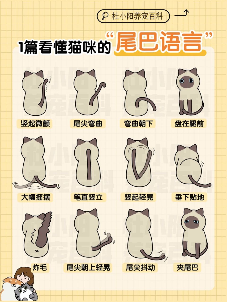 1篇看懂猫咪尾巴语言93 据说…猫尾巴和猫是两种生物95 猫咪的