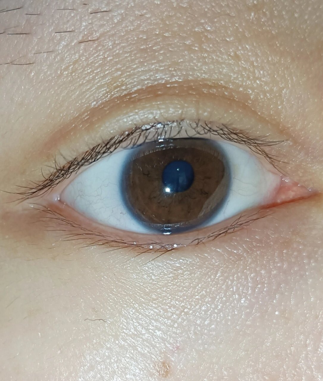 好喜欢我眼球的这一圈灰蓝色边边 其实不戴美瞳,多看看自己的眼珠,也