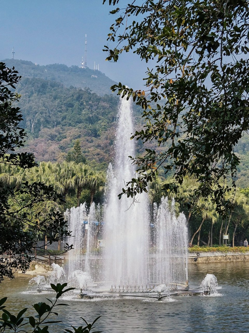 玉湖公园景色的介绍图片