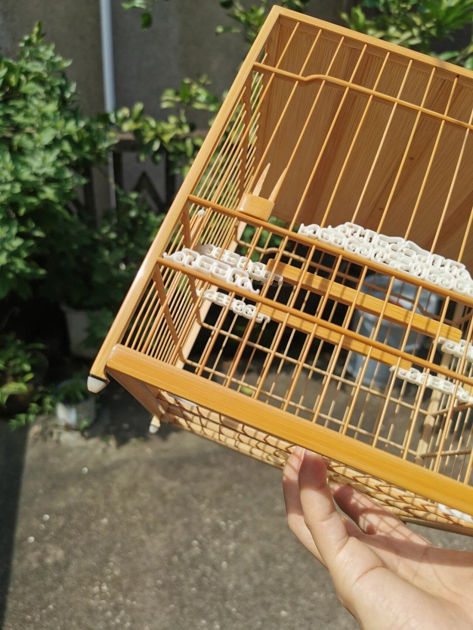 精品鸟笼绣眼笼 精品鸟笼,纯手工骨配饕餮绣眼板笼.收藏首选