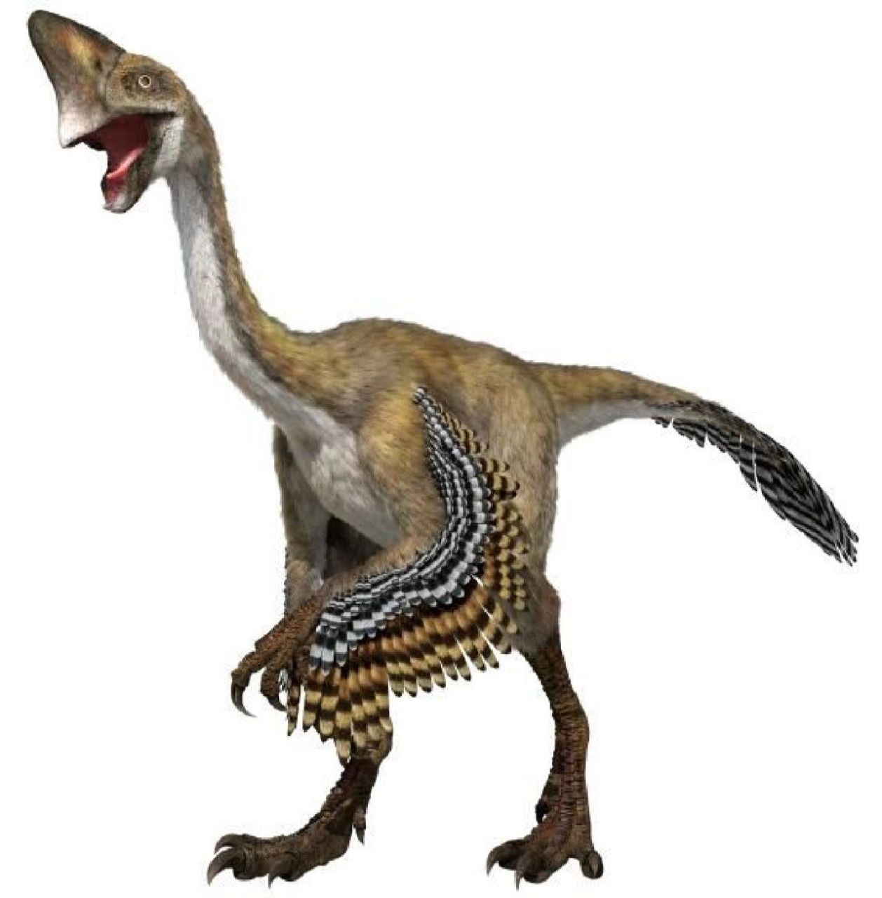 白垩纪晚期的食草恐龙图片