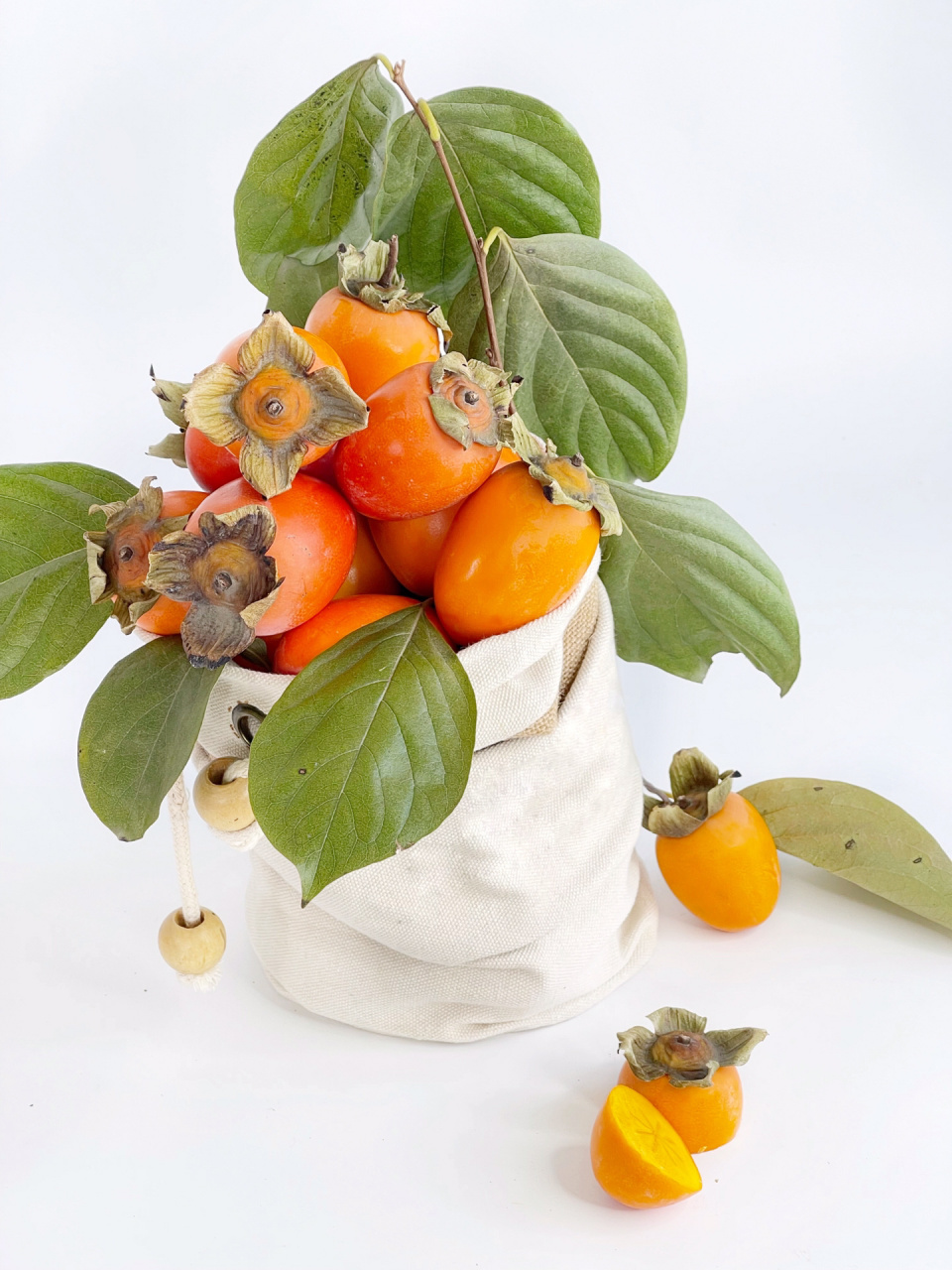 绘画素材100组|水果集合组合73            