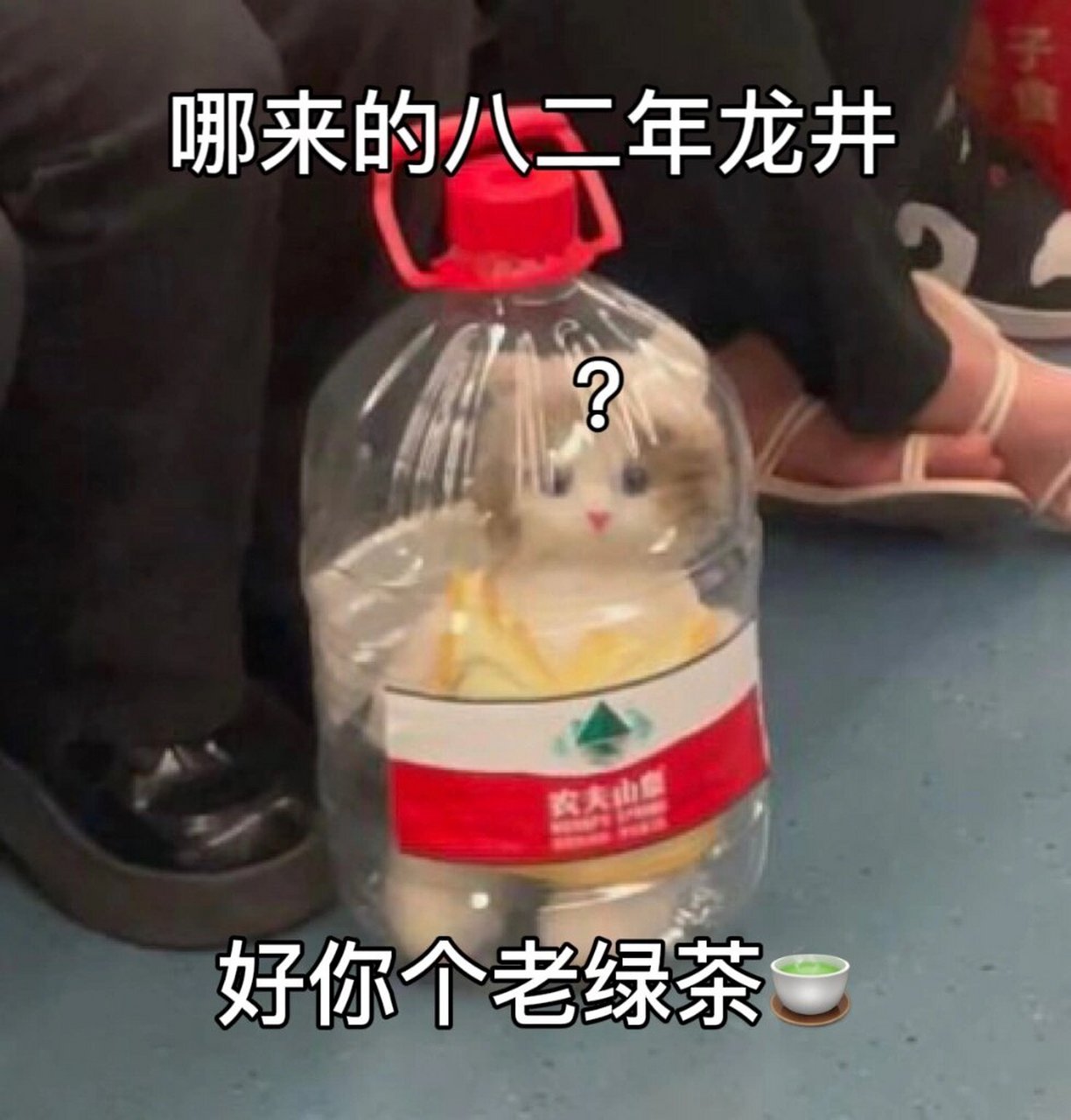 遇到绿茶就这么怼就对了82自制沙雕表情包 绿茶95越骂越不解气?