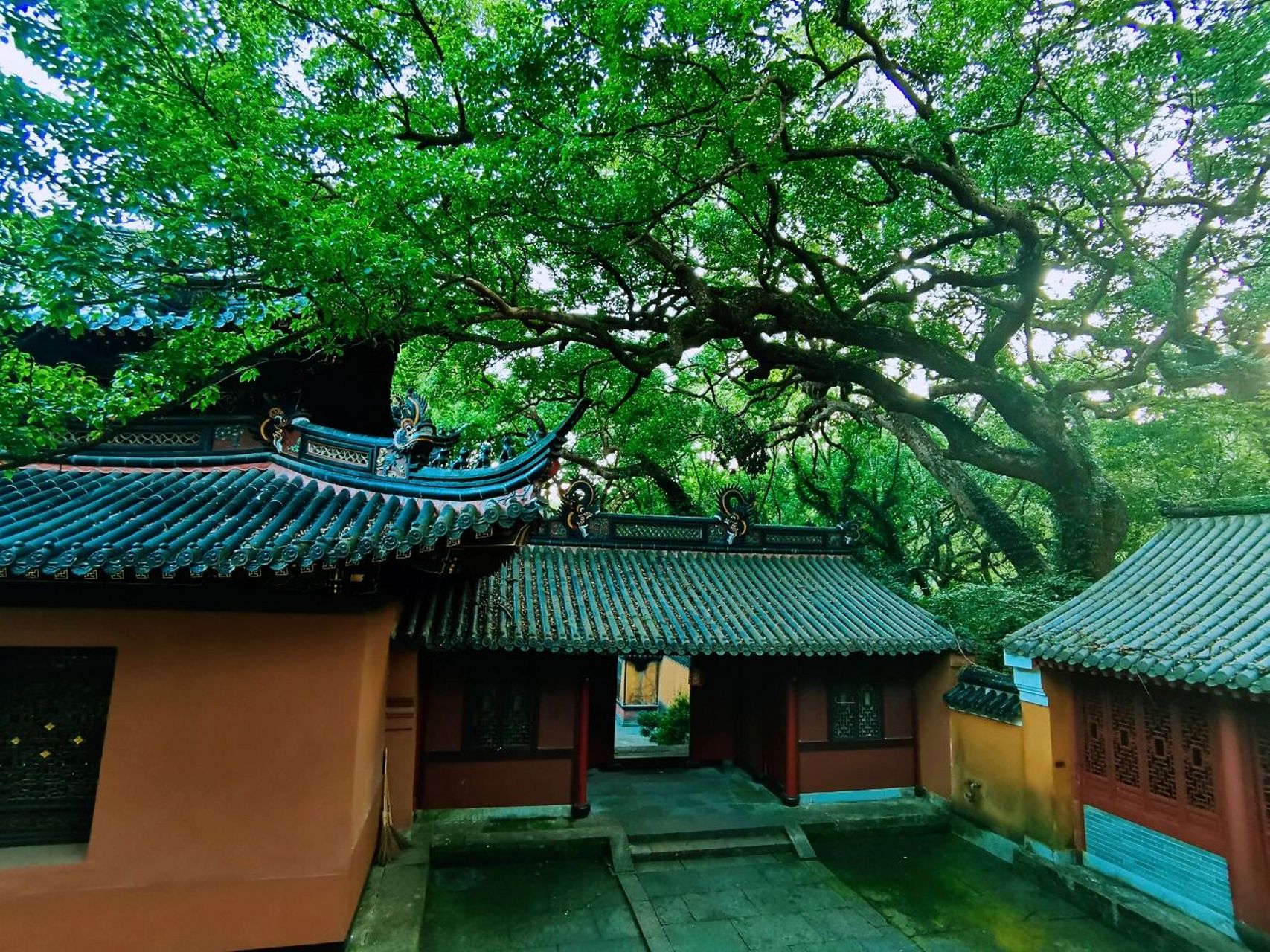 普陀山法雨寺 普陀山法雨禅寺聆听深沉而悠远的钟声,仰望庄严而神圣的