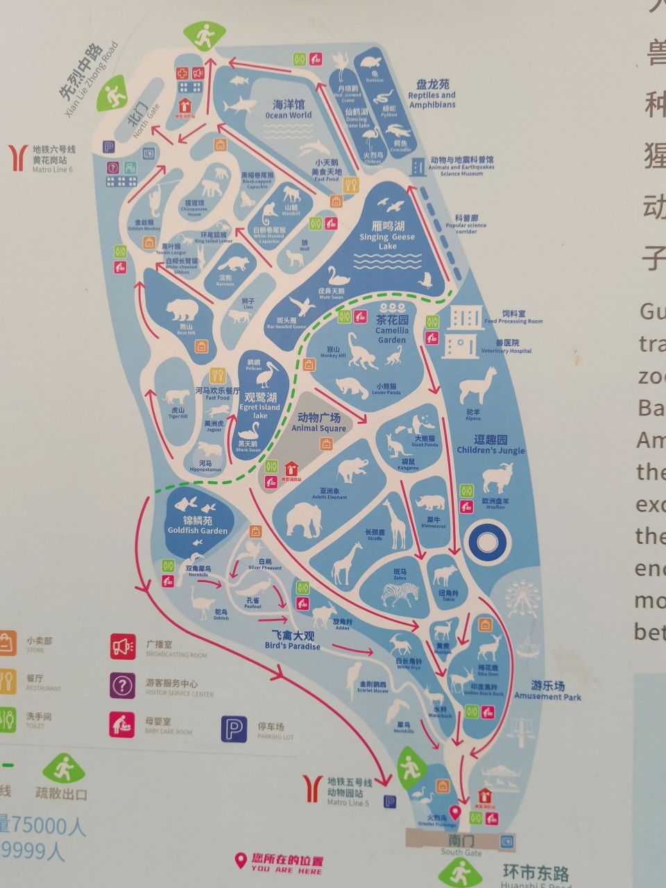 广州动物园攻略 真的可以玩一天时间长的话,可以从北门慢慢悠悠走过去