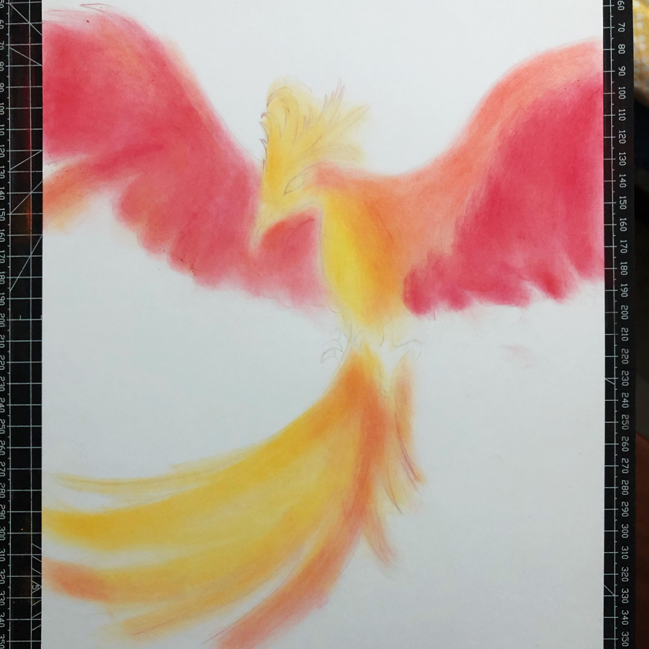 彩铅画 | 浴火重生 火凤凰 《凤凰涅槃》中说:"凤凰每500年自焚为灰烬