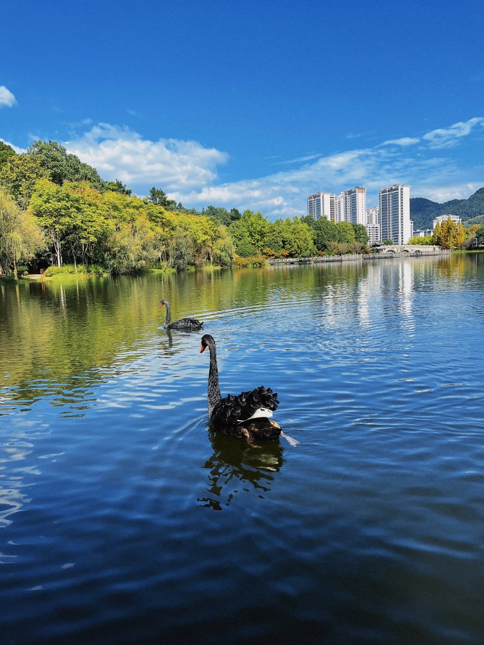 遵义市区游玩好去处 遵义新浦湿地公园 是遵义市所有湿地公园里我最