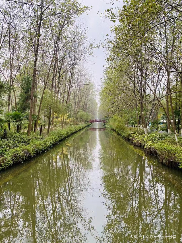 天然氧吧|合肥滨湖湿地森林公园