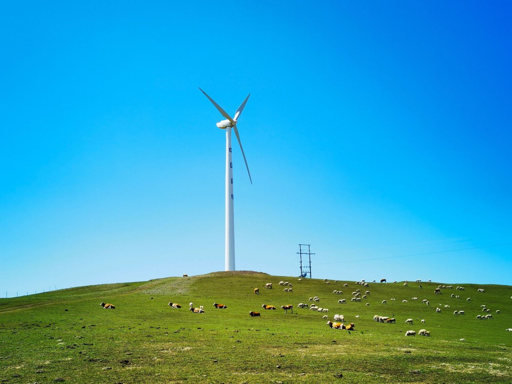 内蒙古锡林郭勒盟 | 太仆寺旗贡宝拉格草原   2023.07.16