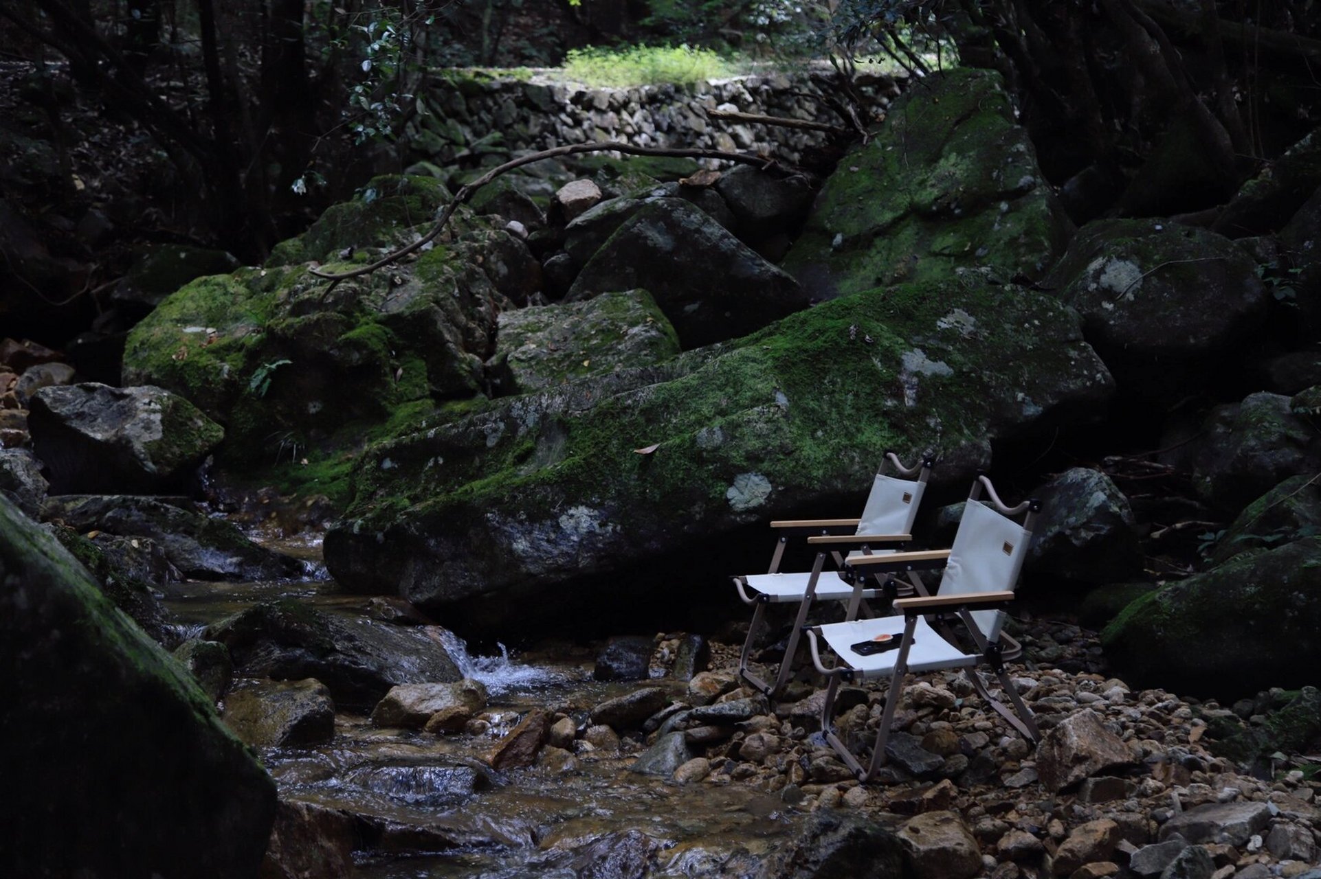 7215衢州游玩 ～开化古田山自然保护区 16615宣传家乡宝藏