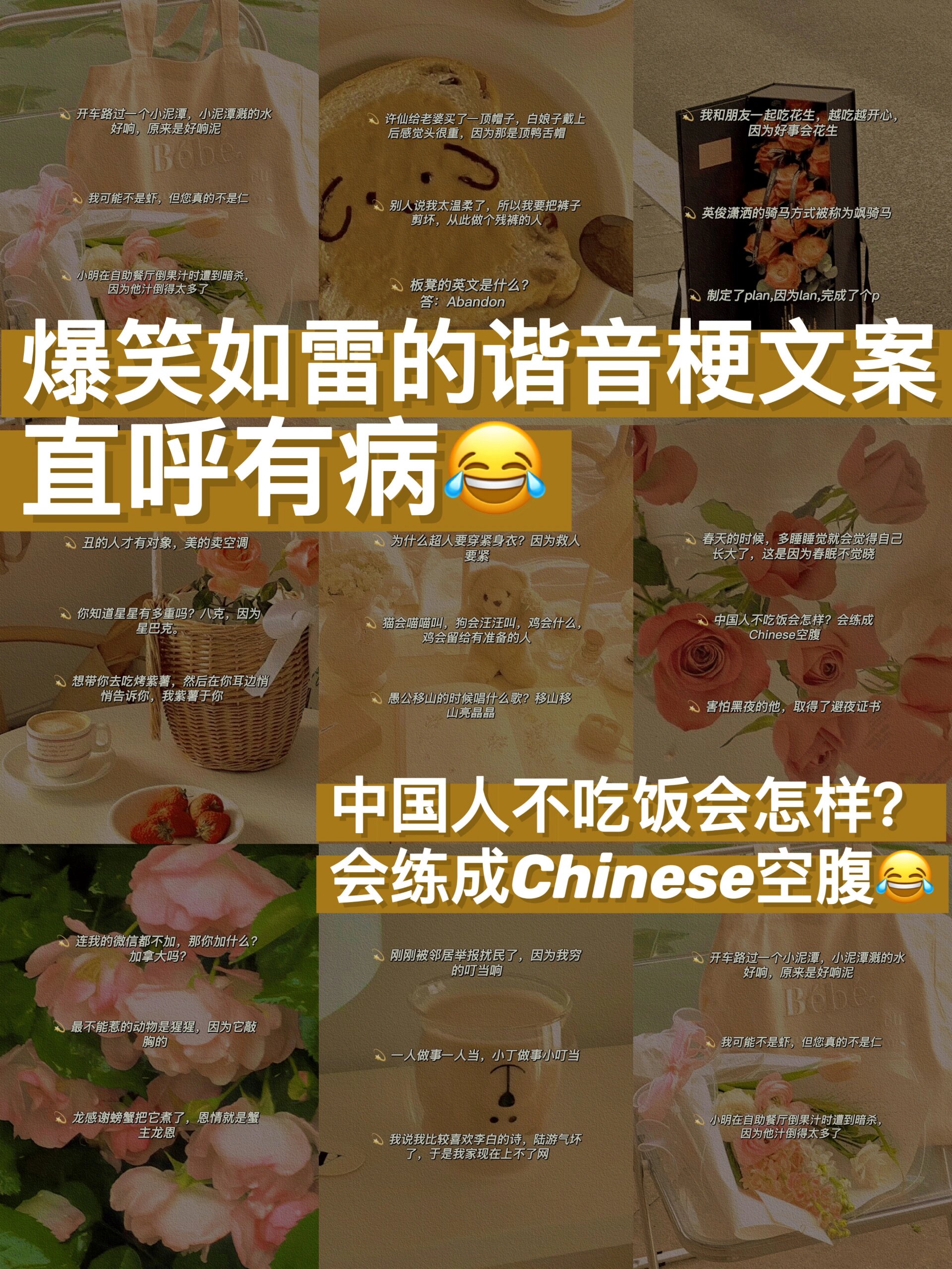 沙雕可爱的谐音梗图片