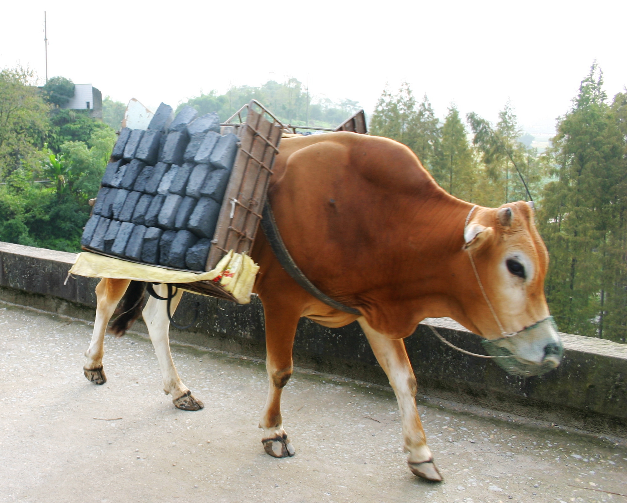 这话真是说到我心坎里去了