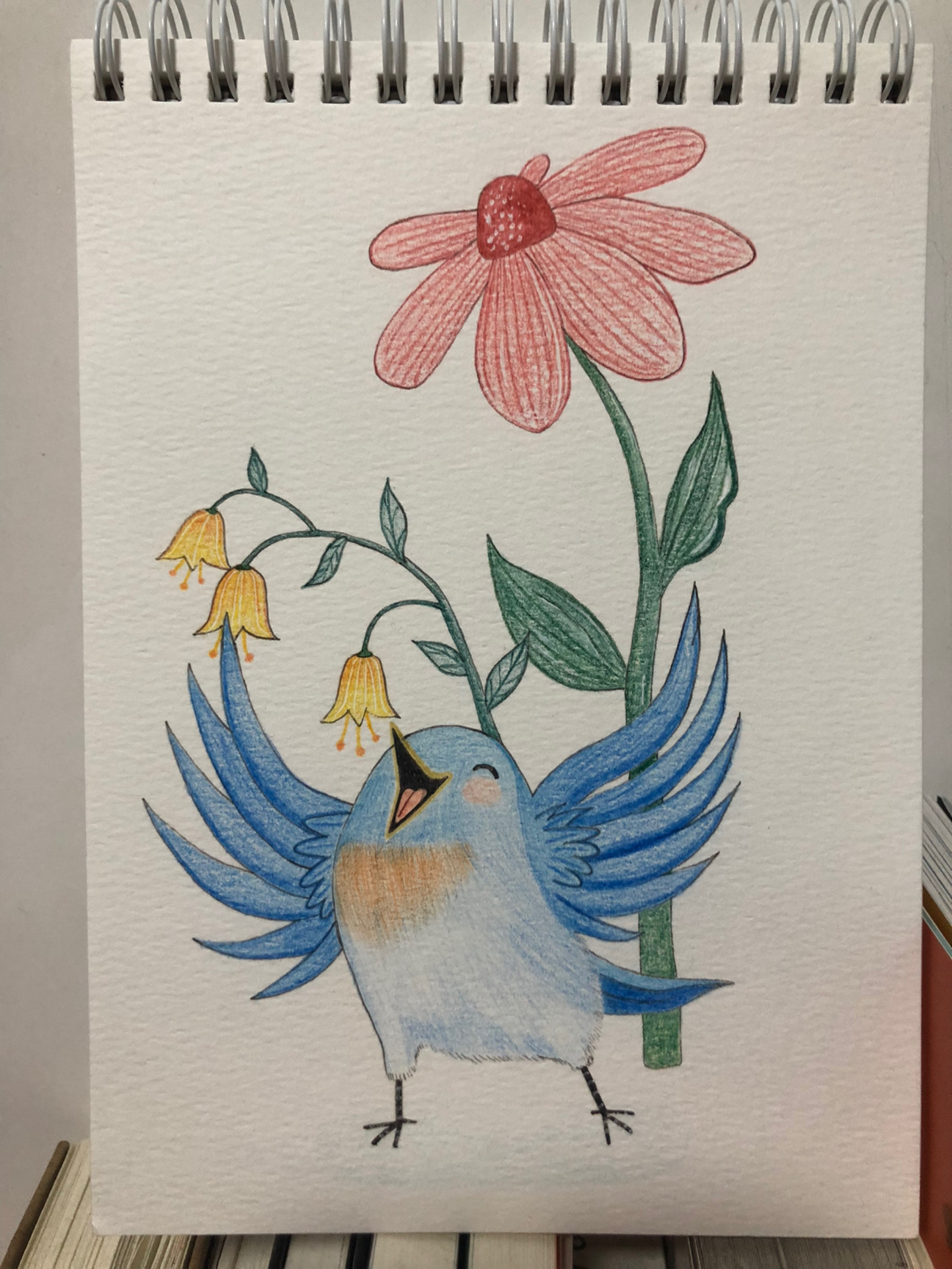 彩铅画|鸟语花香95(附线稿