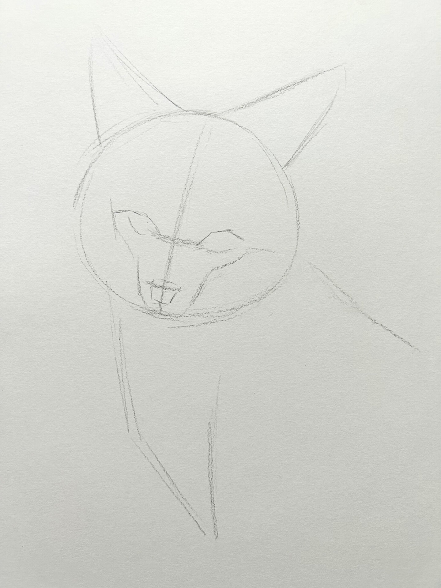 素描动物 小狐狸02