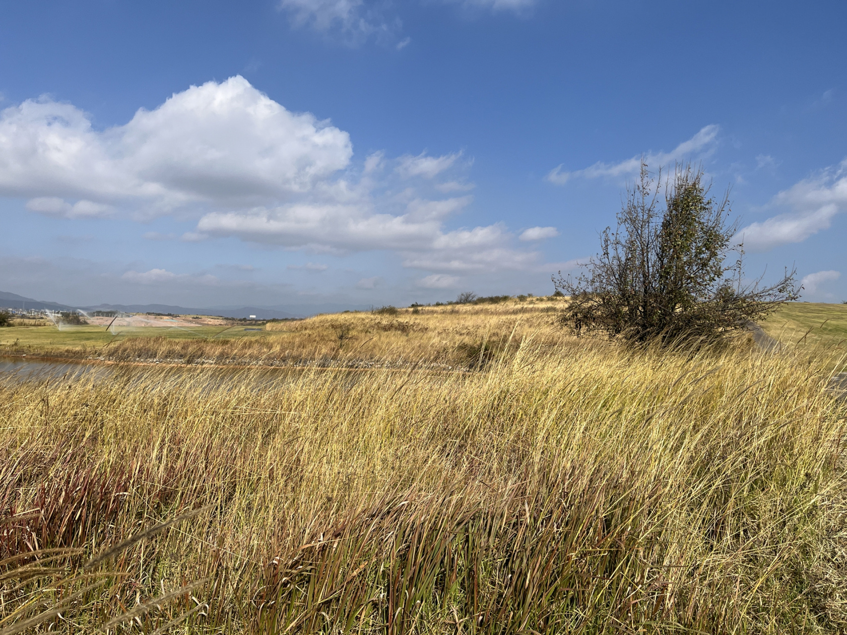昆明长水机场附近 昆明长水机场附近的一个大草坪.可以看7615.